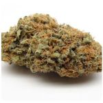 Шишки AK47 (Гидропоника, Бошка) VHQ в Горно-Алтайске Шишки AK47 (Гидропоника, Бошка) VHQ в Горно-Алтайске