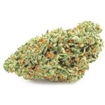 Шишки OG Kush (Гидропоника, бошки) VHQ в Горно-Алтайске Шишки OG Kush (Гидропоника, бошки) VHQ в Горно-Алтайске